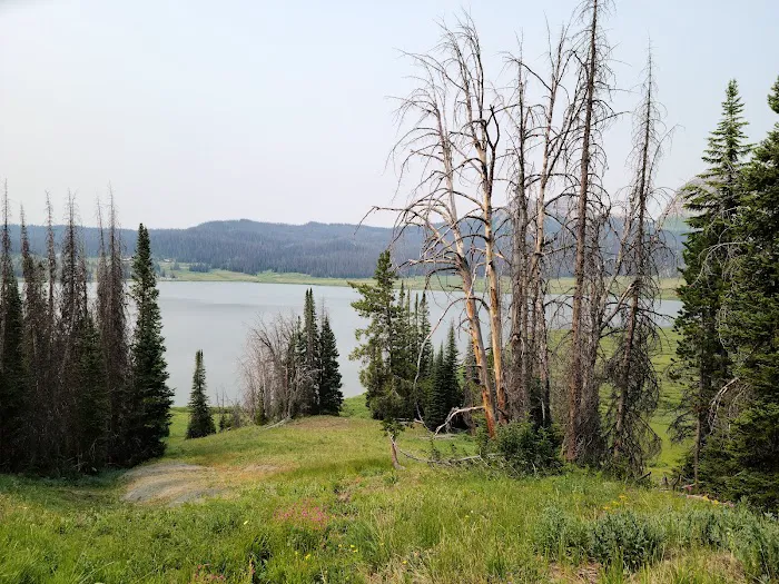 Falls Campground Picture 2
