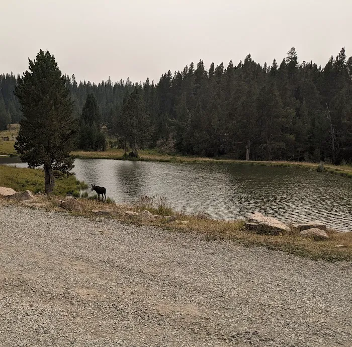 Porcupine Campground Picture 10