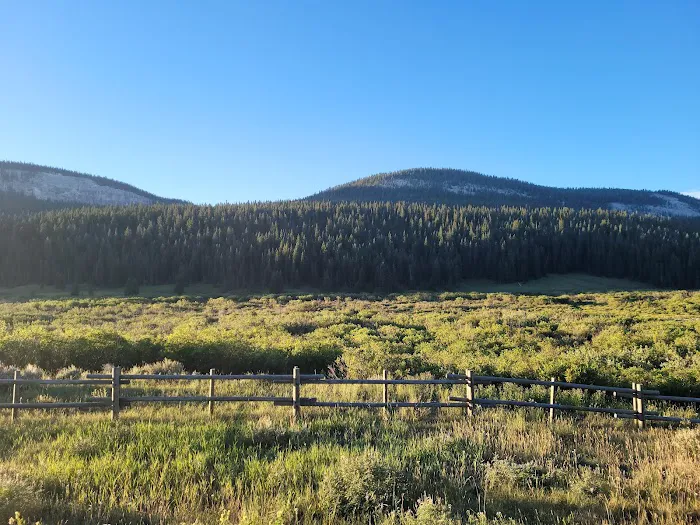 Bald Mountain Campground Picture 1