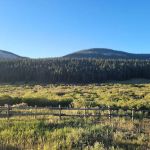 Bald Mountain Campground