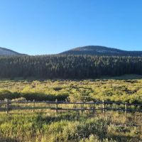 Bald Mountain Campground ico