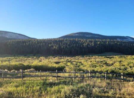 Bald Mountain Campground