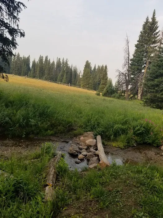 Bald Mountain Campground Picture 8