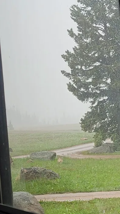 Bald Mountain Campground Picture 7