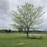 Meadowmere Campgrounds