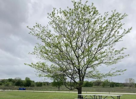 Meadowmere Campgrounds