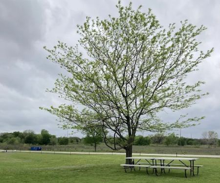 Meadowmere Campgrounds
