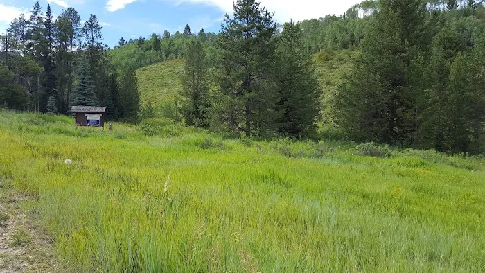 Mill Canyon Campground Picture 3