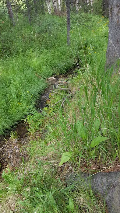 Mill Canyon Campground Picture 6