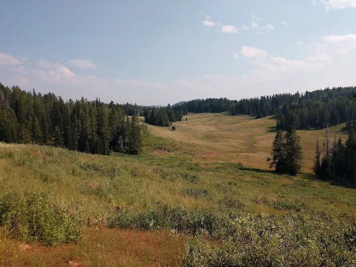 Gravel Creek Campground Picture 1