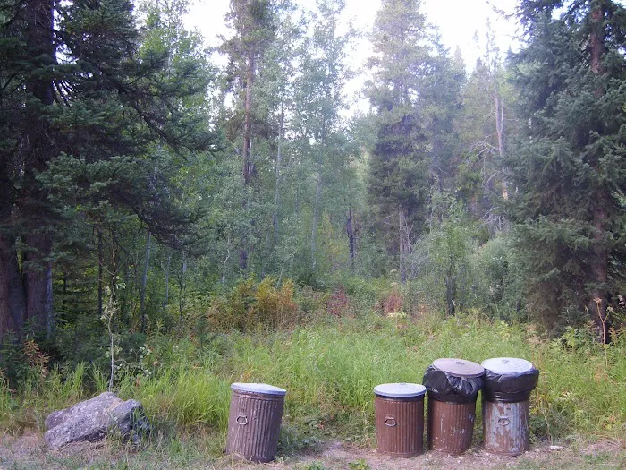 Gravel Creek Campground Picture 10
