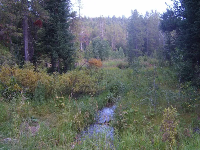 Gravel Creek Campground Picture 7