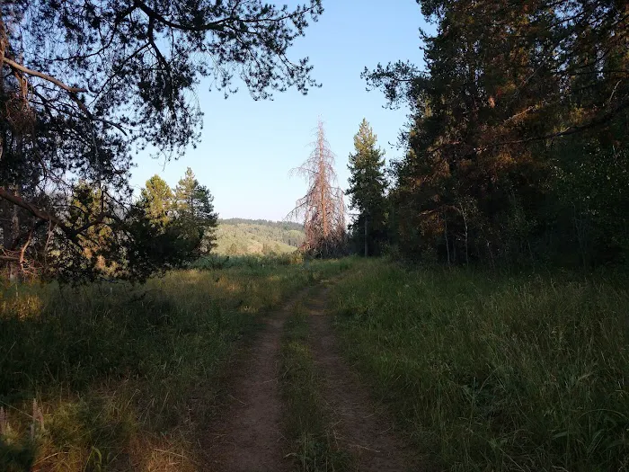 Gravel Creek Campground Picture 3