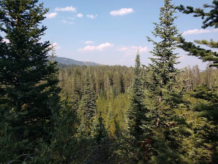 Gravel Creek Campground Picture 5