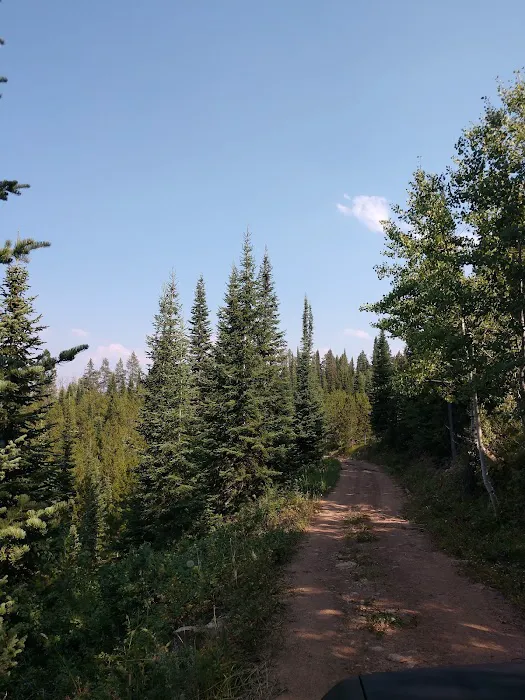Gravel Creek Campground Picture 2