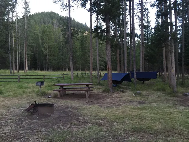Forest Park Campground Picture 1