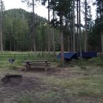 Forest Park Campground