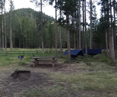Forest Park Campground