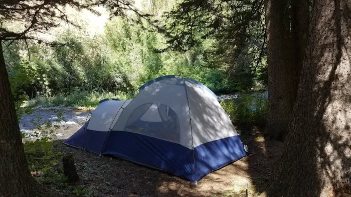 Swift Creek Campground Picture 4