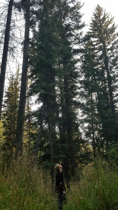 Swift Creek Campground Picture 5