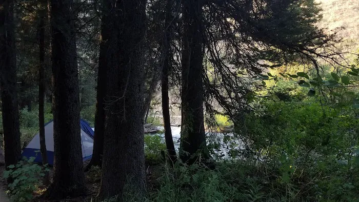 Swift Creek Campground Picture 7