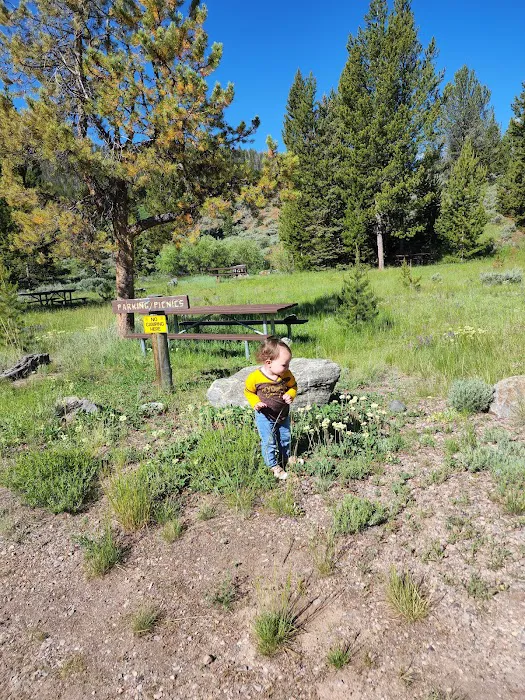 Horse Creek Campground Picture 4