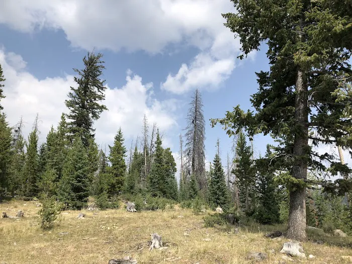 Horse Creek Campground Picture 8