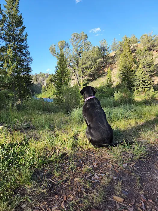 Horse Creek Campground Picture 1