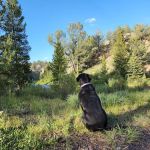 Horse Creek Campground