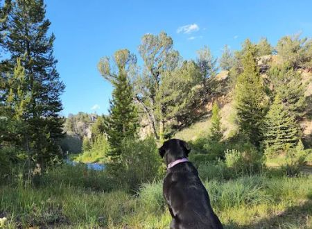 Horse Creek Campground