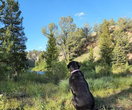Horse Creek Campground