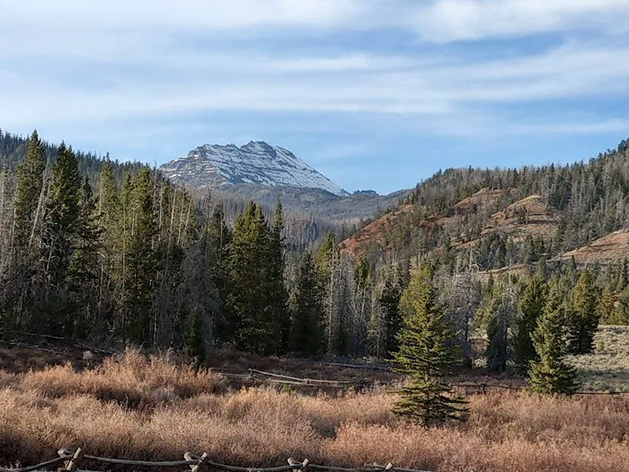 Horse Creek Campground Picture 2