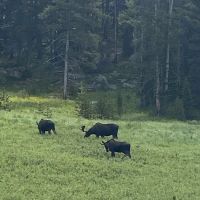Burgess Ranger Station ico