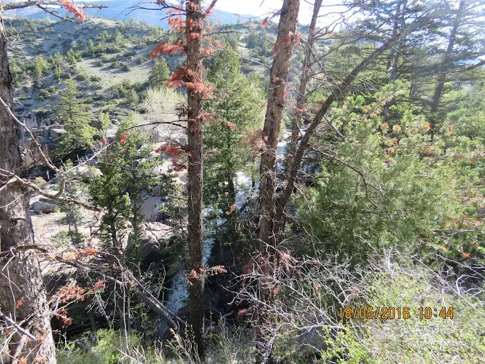 Owen Creek Campground Picture 1