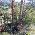 Owen Creek Campground