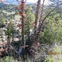 Owen Creek Campground ico