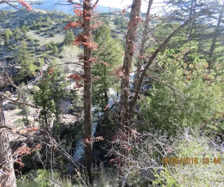 Owen Creek Campground