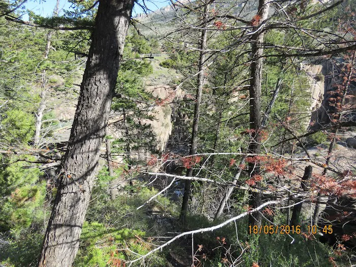 Owen Creek Campground Picture 9