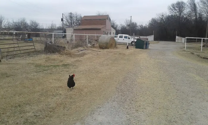 Lee's Country Campground Picture 3