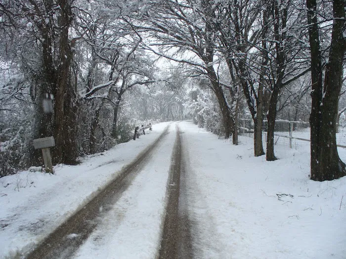 Lee's Country Campground Picture 4