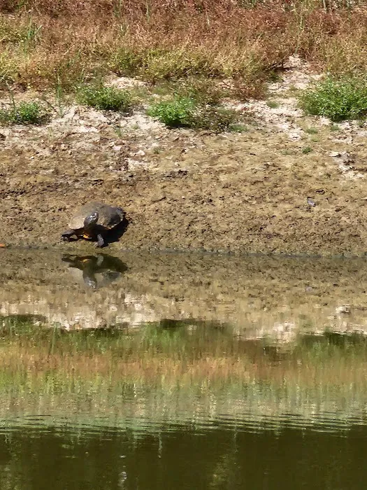 Coyote Creek RV Picture 3