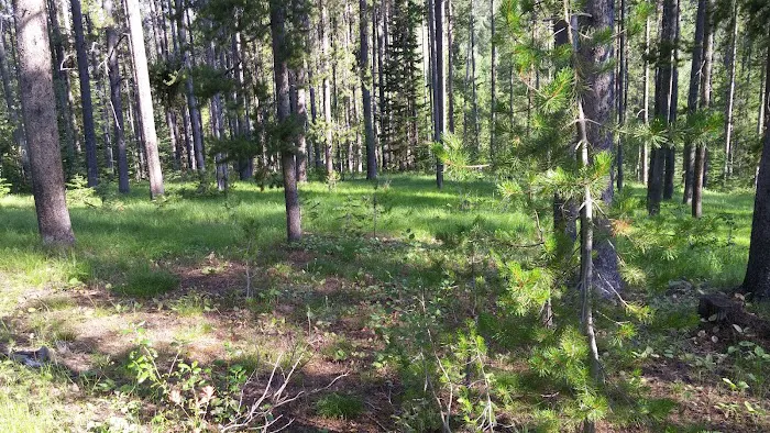 Summit View Campground Picture 3