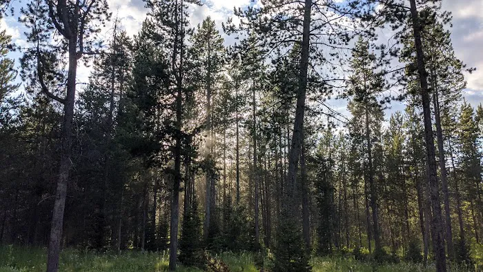 Summit View Campground Picture 8