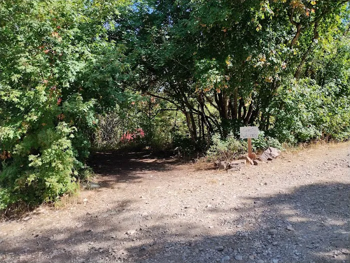 Camp Chi-Keena Picture 3
