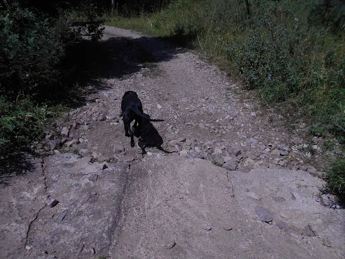 Eightmile Campground Picture 2