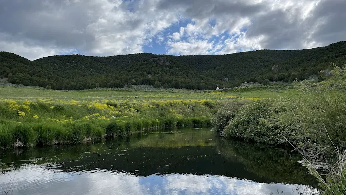 Portneuf Bend Campground Picture 3