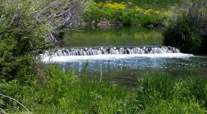 Portneuf Bend Campground Picture 9