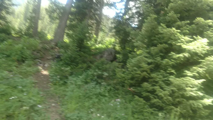 Cottonwood Lake Group Campground Picture 5