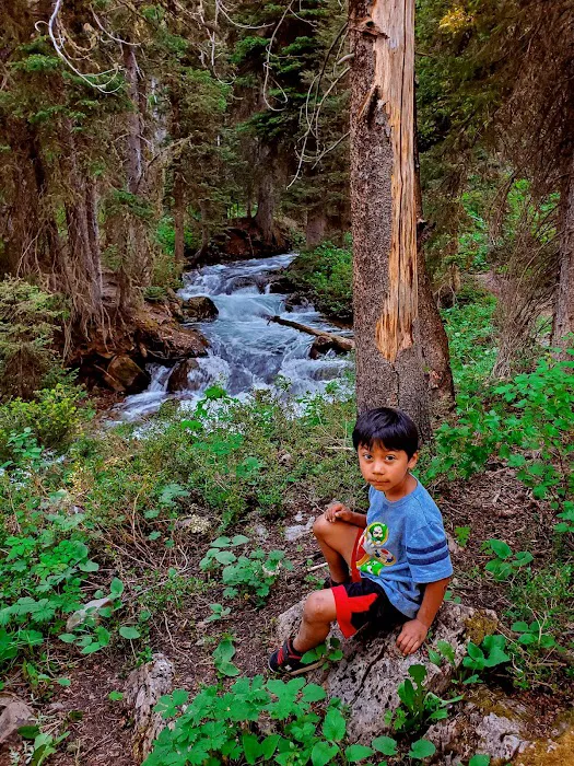 Cottonwood Lake Group Campground Picture 6