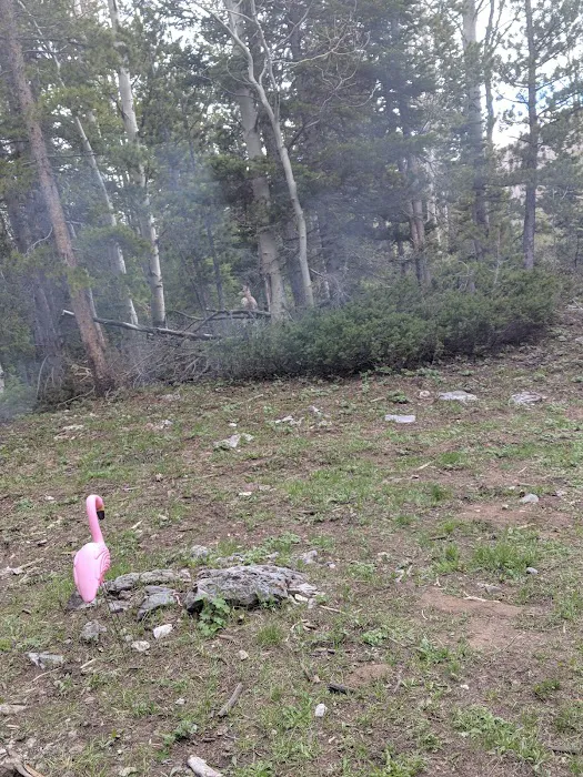 Sacajawea Campground Picture 3